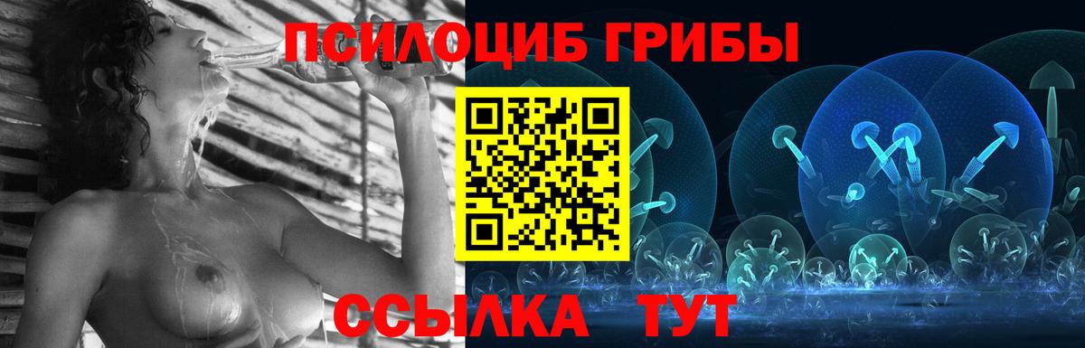 Псилоцибиновые грибы мухоморы Мариинск
